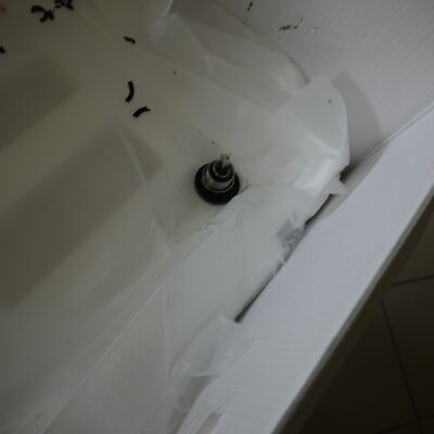 Artikelfoto(s) von einem verifizierten Käufer