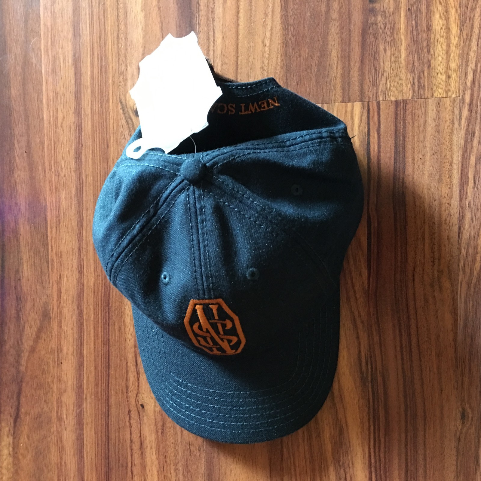Fantastic Beast Harry Potter Series New With Tag Strapback Hat Cap One Size Newt