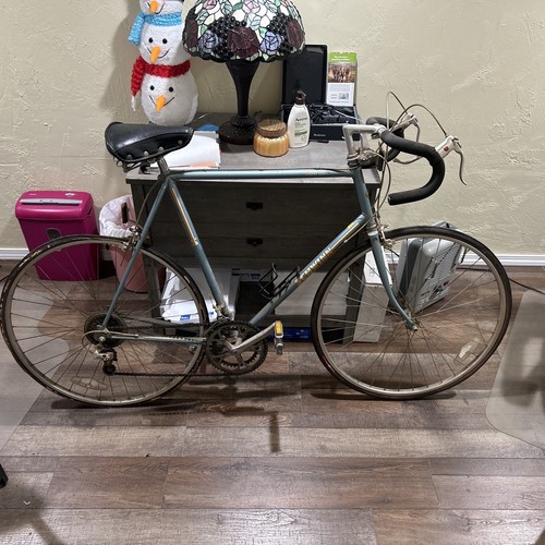 1980s SCHWINN WORLD SPORT MENS 10 SPEED?ROAD BIKE VINTAGE Pickup