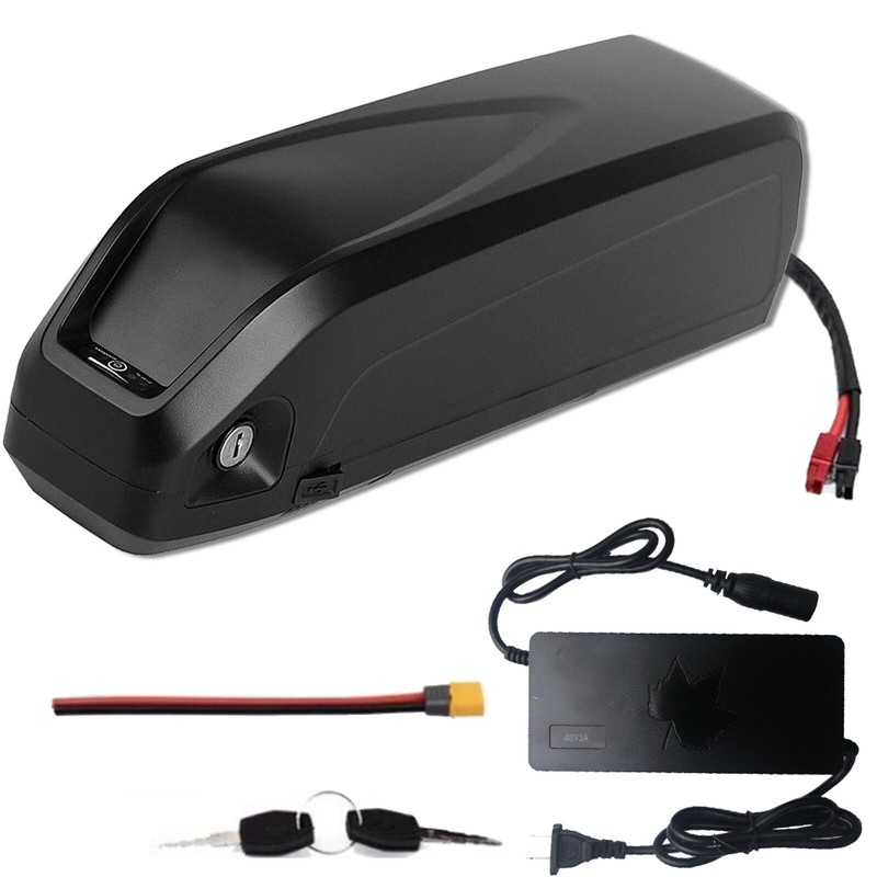 48V 1000W Ebike Battery &le;1000W Electric Bike Motor Lithium Battery for Hailong