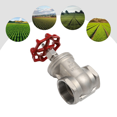 2 Inch NPT Female Threaded Gate Valve Cf8m Heavy Duty 304 Stainless Steel