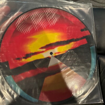 CHRIS ROBINSON BROTHERHOOD 10  Vinyl Picture Disc 2019 RSD Dice Game Let It Fall