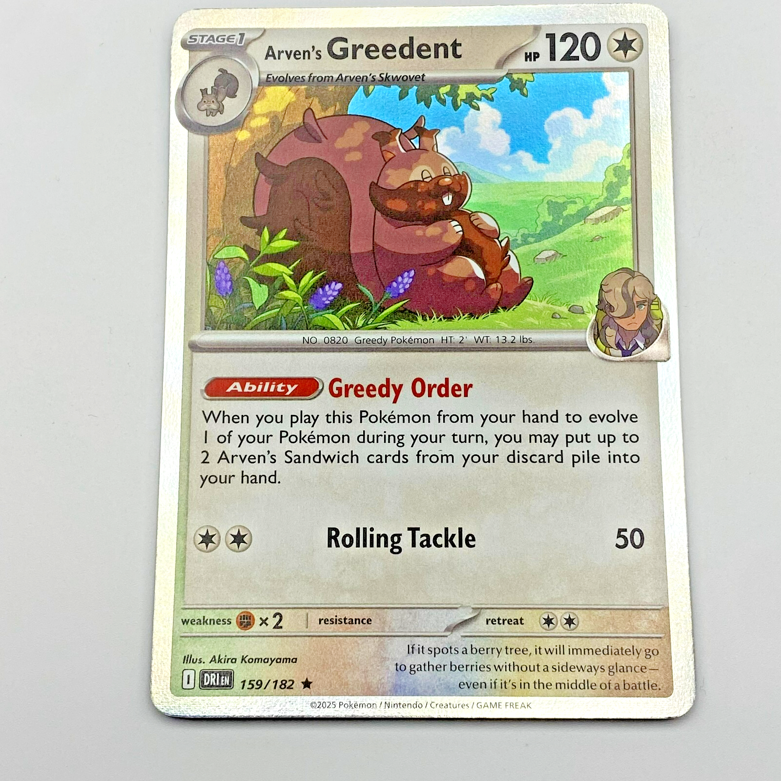Greedent Holo 159/182 Pokemon Scarlet Violet Destined Rivals