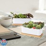 ARVINKEY White Ceramic Succulent Planters, Indoor and Outdoor Succulent Planters, Set of 2 Small Cactus Containers, Bonsai Pots, Flower Pots with Drainage Hole and Bamboo Bowl (No Plant)