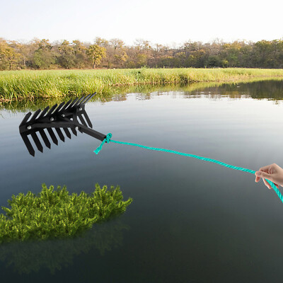 Pond rake 2024
