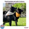 fenii - Premium Cotton Dog Bandanas - 2 Pack - Adjustable Fit - Washable - for Small, Medium and Large Breeds - Girl and Boy Dog Accessories - Multiple Sizes (Bumblebee Yellow and Pebble Gray, Large)