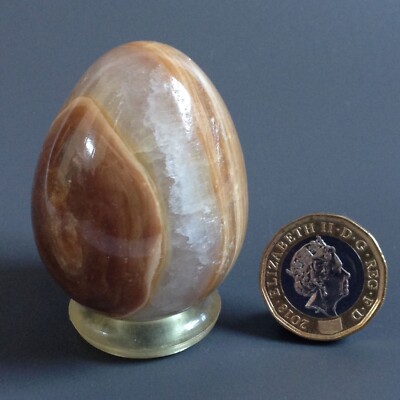 Stunning Aragonite Crystal Egg Healing Self-confidence Memory B 100g 4.88x3.77cm