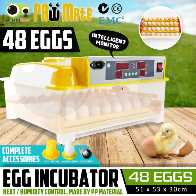 Chicken egg incubator hire