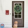 Easy Fine 26 Inch Artificial Eucalyptus Wreaths for Front Door for All Seasons,Spring Summer Fall Autumn Winter Christmas Wreath,Large Neutral Everyday Greenery Wreath,Home Wall Door Porch Decor