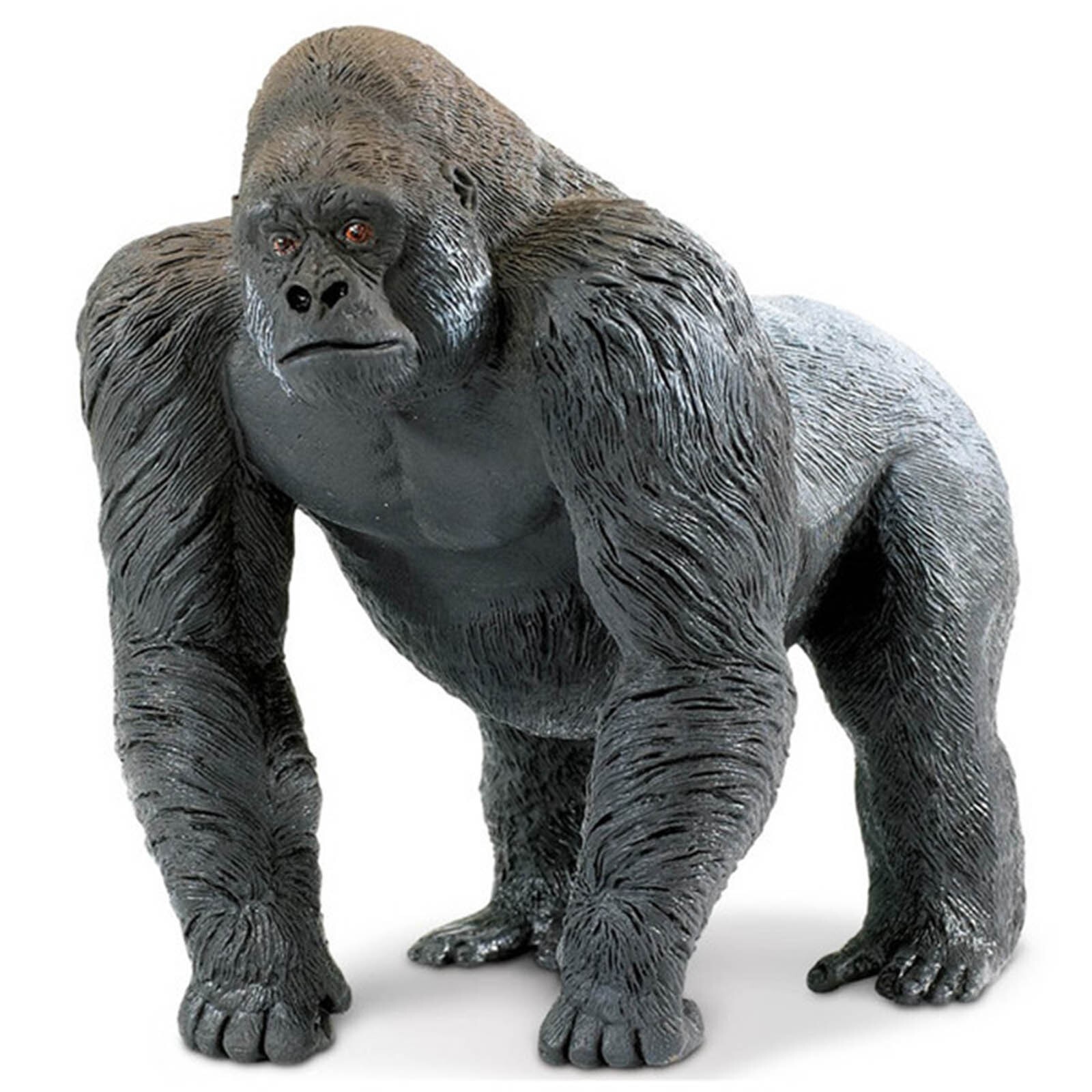 Бордер-колли Best In Show Dogs Figure Safari Ltd НОВЫЙ НА СКЛАДЕ
