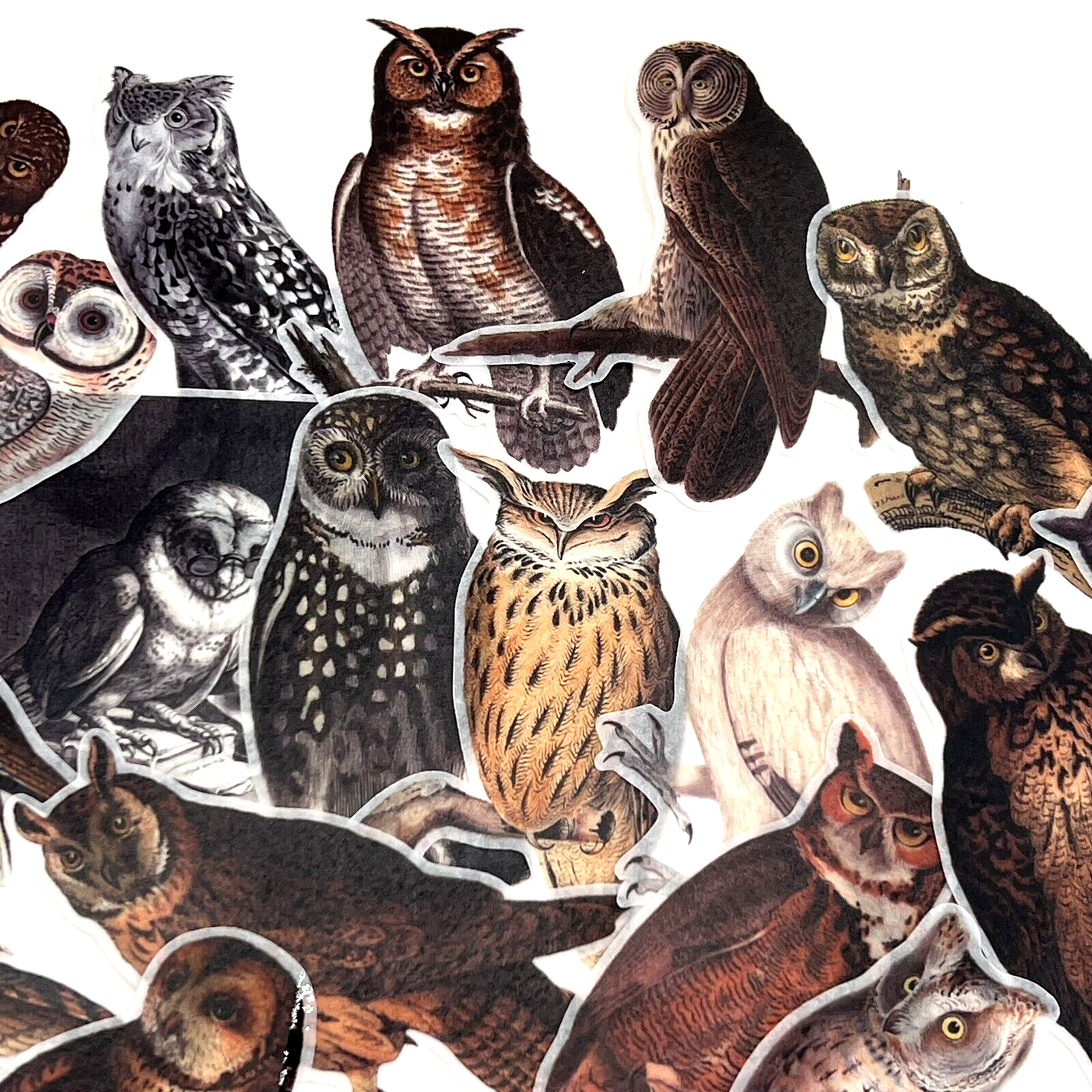 Owl Washi Paper Stickers Vintage Style Scrapbook Junk Journals Collage
