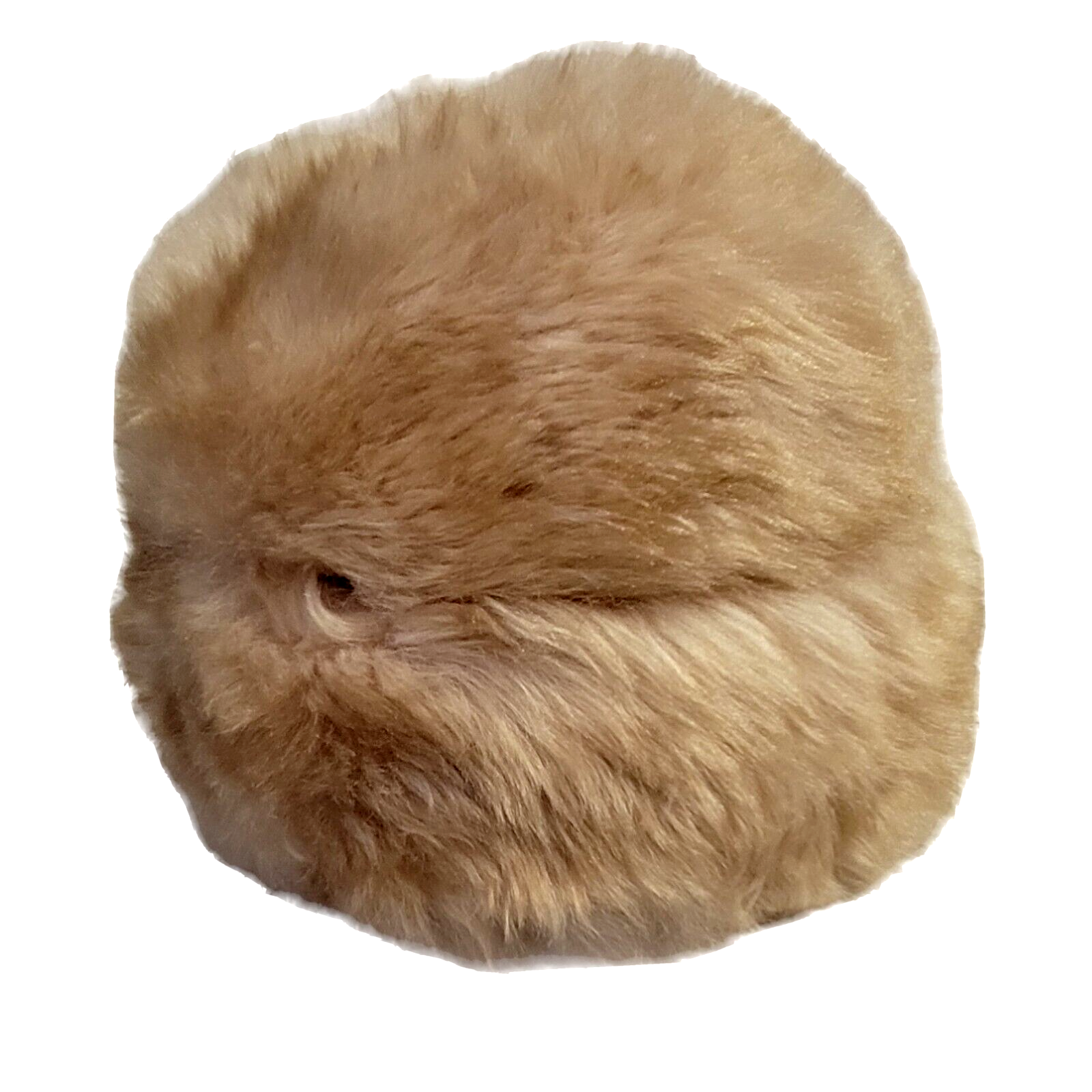 1950\'s-60\'s Italian lamb hat Vintage Genuine Tuscan Italian Lamb Skin Fur Winter Hat  main image 3