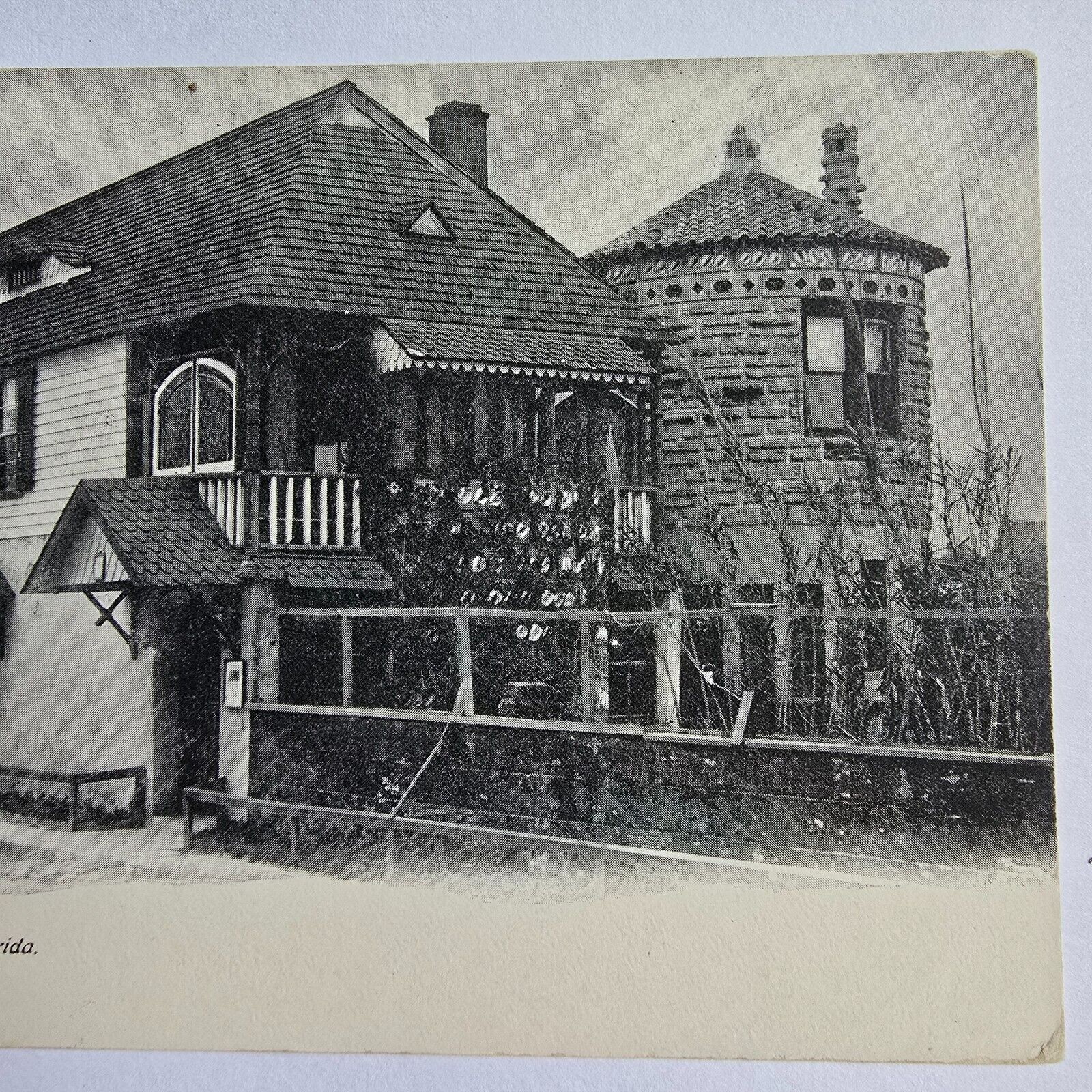 Picture 3