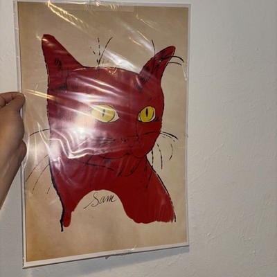 Photos de l'objet d'un acheteur vérifié