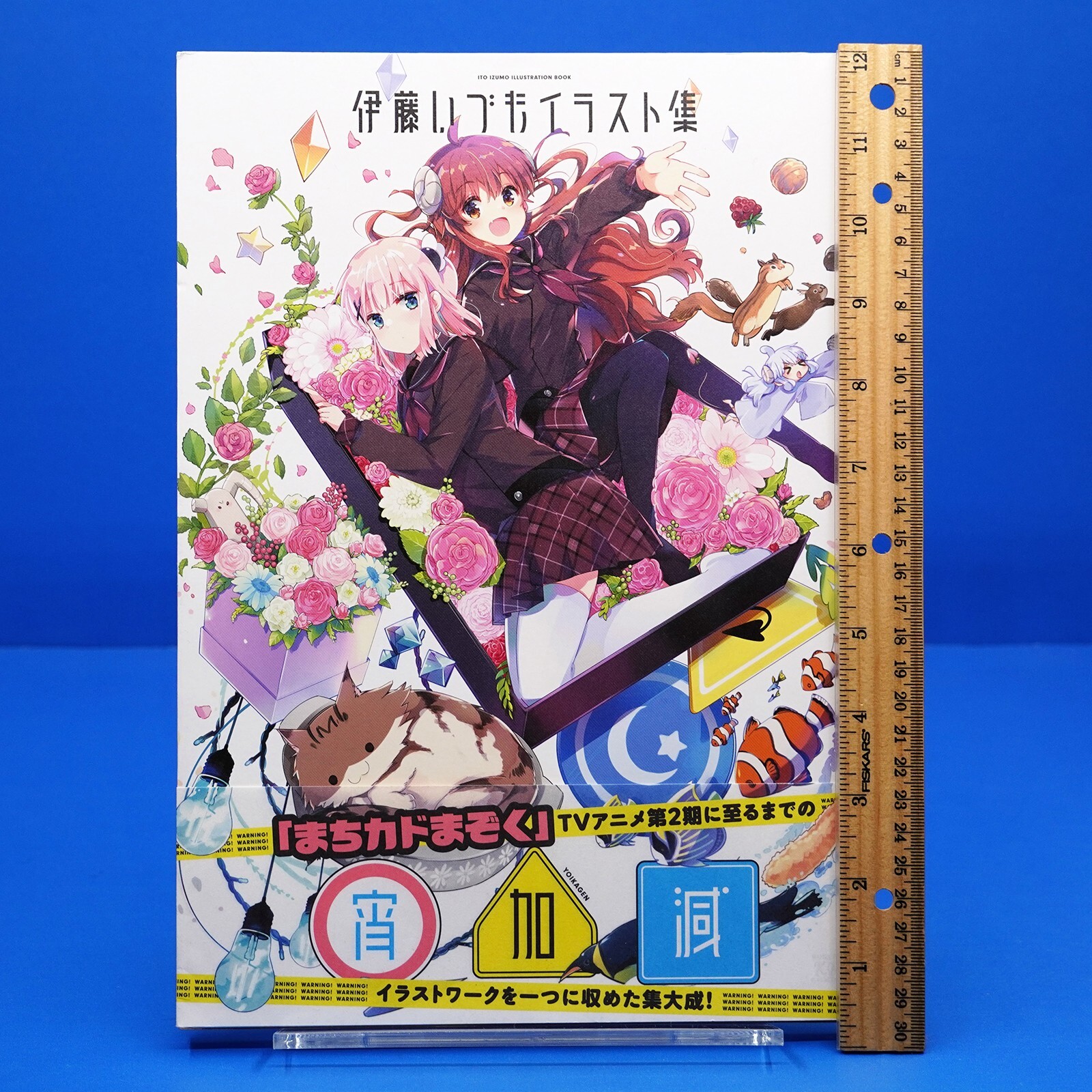 まさとさま専用girl next door THE LAST～PREMIUM Amazon.co.jp