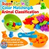 FQKIOMY Color Sorting Toys for Toddlers 1-3,Counting Animals Matching Games Montessori Educational Preschol Toddler Learning Activities Sensory Traning Toys Gift for 2 Year Old Boys Girls