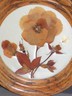 Pressed Dried Rose Botanical under Glass 7.75