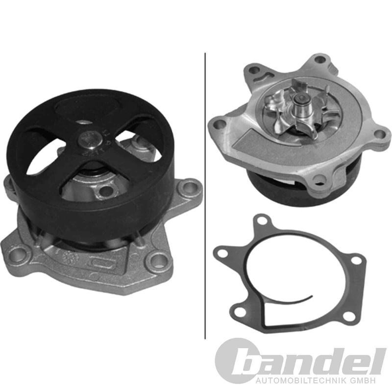 Schaffler Ina Pompe Ã Eau Compatible Avec Nissan Juke | 538 0522 10