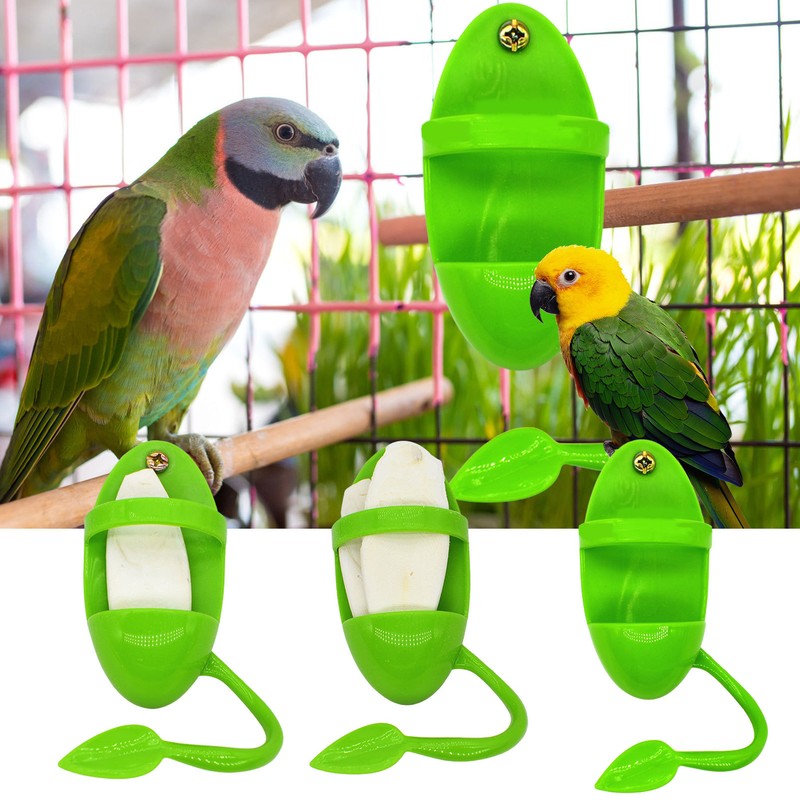 Holder For Parakeets
