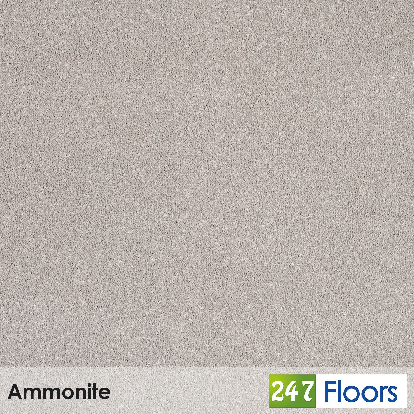 Ammonite Sensation Original Saxony Carpet Stain Resistant Bedroom Lounge 4m 5m