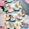 30pcs Bear Gender Reveal Decorations Cupcake Toppers Bear Gender Reveal Cake Decorations Boy Girl Twins Baby Shower
