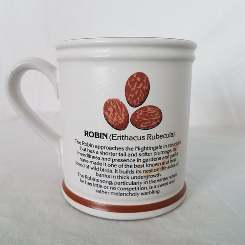 Coffee Cup European Robin DENBY England Scientific Erithacus Rebucela  Mug