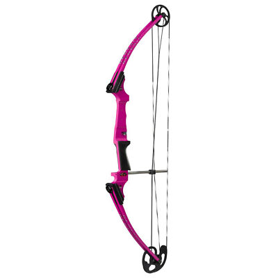Genesis Original Archery Compound Bow, Right Handed, Purple (Open Box)