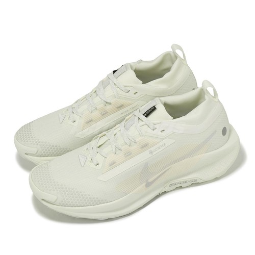 Мужские кроссовки для бега Nike Pegasus Trail 5 GTX Gore-Tex Photon Dust FQ0908-101