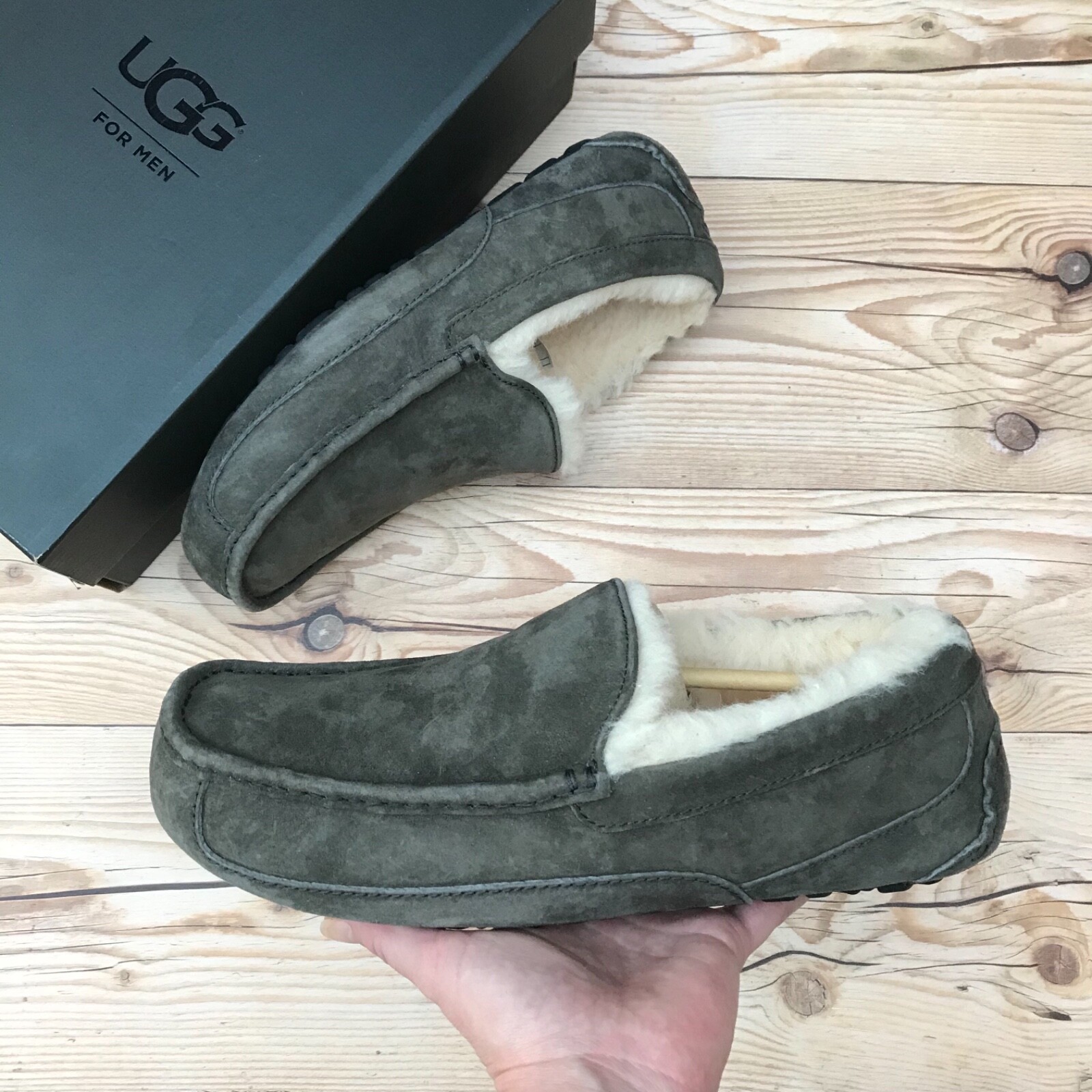 UGG Men