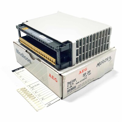 DEP 209 AEG Modicon Input Module 115VAC