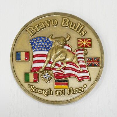 3rd Battalion 6th Field Artillery BRAVO BULLS Strength And Honor Coin [021]
