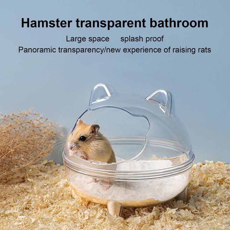 Potty Trainer Sand Bath Corner