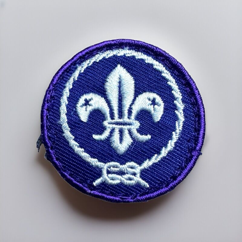 WORLD SCOUTING CREST Boy Scout Uniform Badge PATCH BSA Award