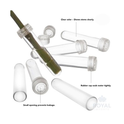 Floral Water Tubes/Vials For Flower Arrangements by Royal Imports, Clear - 3