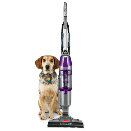 And Sanitizing Steam Mop