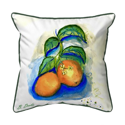 Betsy Drake Two Oranges Large Indoor Outdoor Pillow 18x18