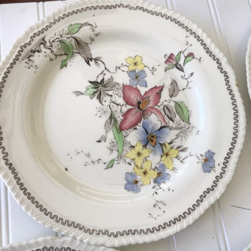 VTG Enoch 1784 Ralph 1750 Woods Burslem England ORCHIS Floral Plate 9