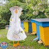 Huhumy Bee Keeper Goose Outfit Halloween Porch Goose Clothes for 23'' Cement Statue Cute Costume Vacation Outdoor Lawn Yard Patio Decor