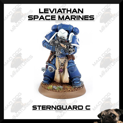 Leviathan Warhammer 40K Primaris Space Marine Sternguard Veterans Singles