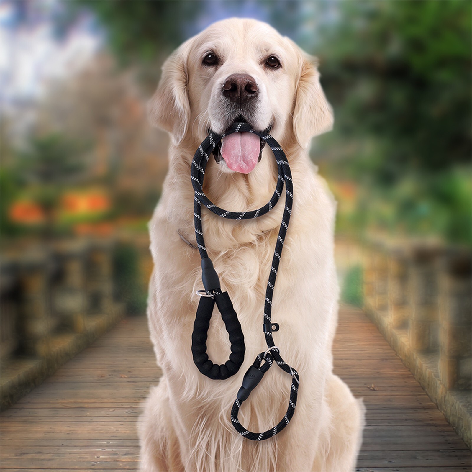 Dog Rope Leash Heavy Duty Durable Reflective Lead Padded Handle Walking Nylon