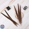MAOFENG 12pcs Natural Feathers Female Ringneck Pheasant Tails Feathers 12-14inch 30-35cm for Crafts Wedding Party Performance Home DIY Decoration,Female Pheasant Feathers