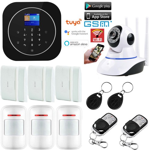 +amazon Alexa+google Home