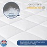 Waterproof Sofa Bed Mattress Protector Pad, Absorbent Queen Sleeper Sofa Mattress Topper Cover Quilted, Fitted Mattress Protector, 60