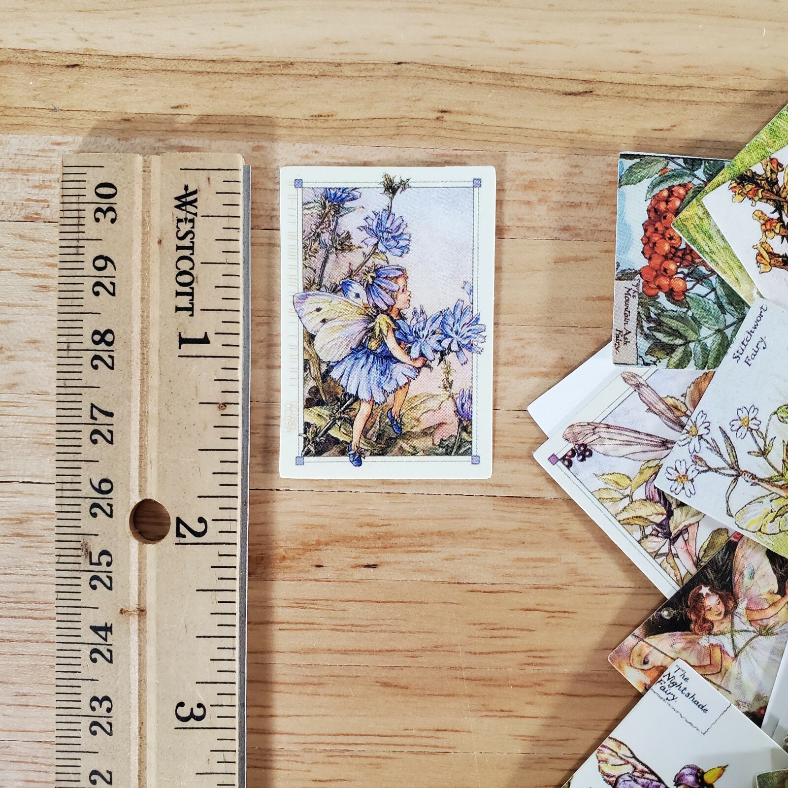 100 Mini Flower Fairy Fairies Prints on Cardstock Vintage Pictures Scrapbooking