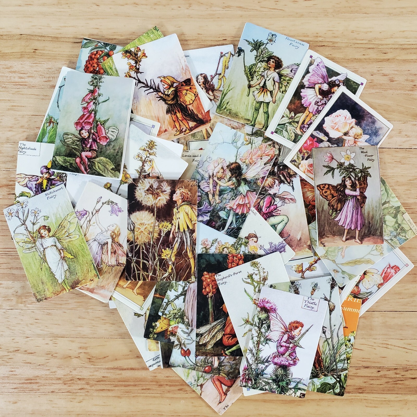 100 Mini Flower Fairy Fairies Prints on Cardstock Vintage Pictures Scrapbooking