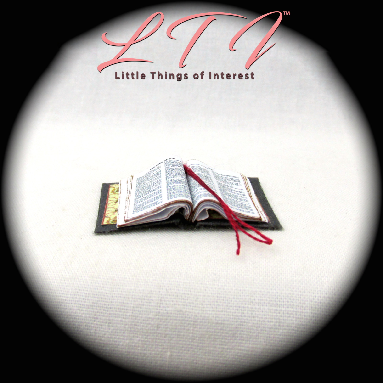 Open Book BIBLE Dollhouse Book Miniature Book 1:12 Scale Book 