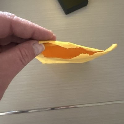 Artikelfoto(s) von einem verifizierten Käufer