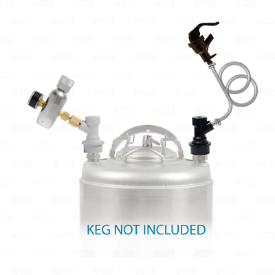 Ball Lock Corny Keg Portable Dispensing Kit Mini Co2 Regulator + Picnic Faucet
