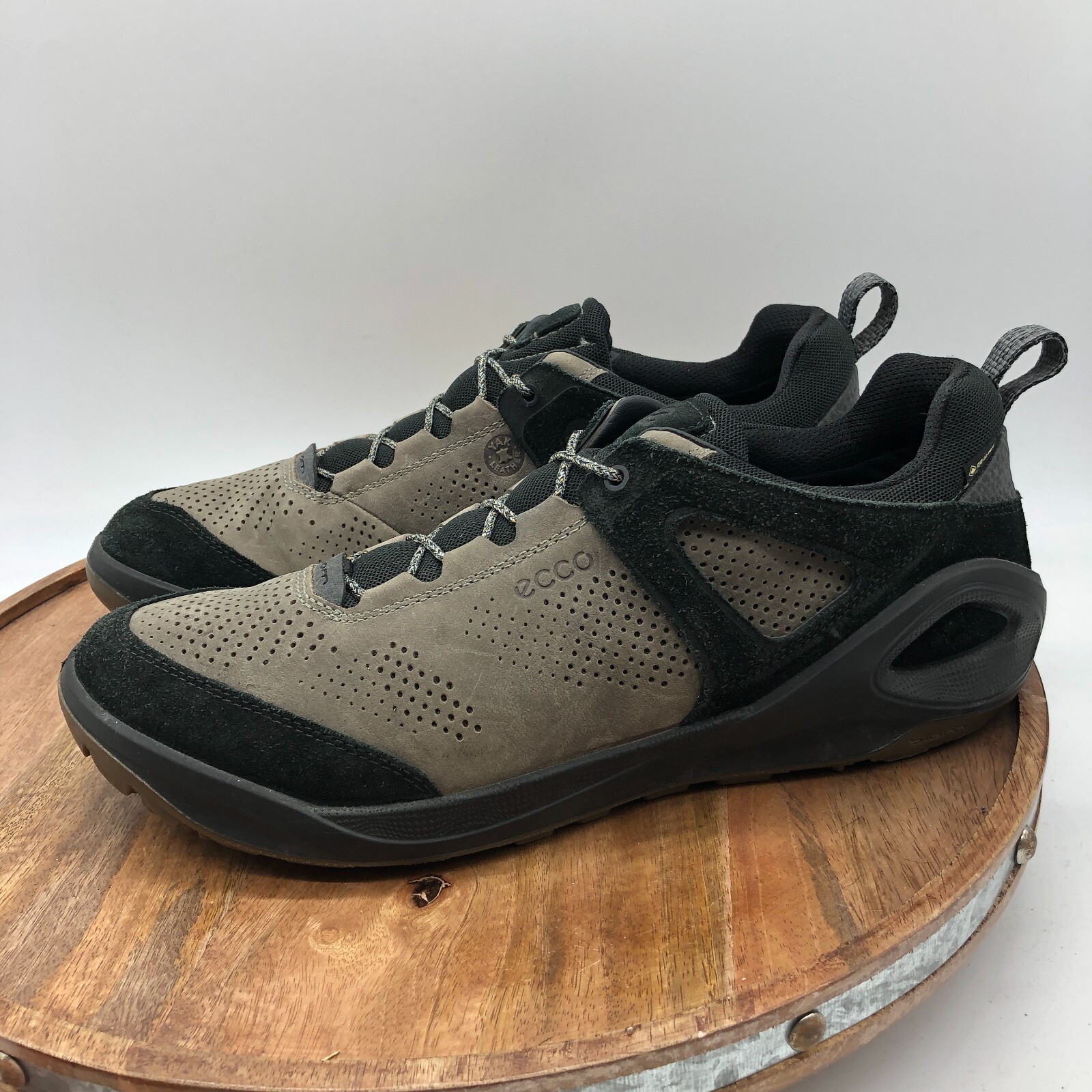ecco biom 2go