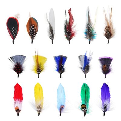 16 Pcs Assorted Hat Feathers Party Accessories for Cowboy Hats Fedora Hats